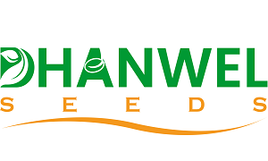 Dhanwel Hybrid Seeds IPO