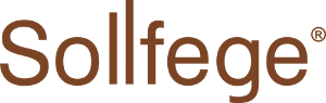 Sollfege Smart Electronics IPO